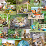 Clothworks - The Secret Life of Squirrels - Collage, Multi