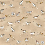 Henry Glass - Window to Paradise - Shorebirds, Sand