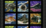 Elizabeth Studio - Cats - 24^ Catnap Panel, Black