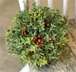 Half Sphere - New England Boxwood with Berries 8^