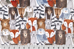 Shannon Fabrics - Cloud Cuddle - Double-sided - Call of The Wild Critters, Multi