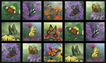 Elizabeth Studio - Butterfly Meadow - 24^ Block Panel, Black