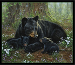 Elizabeth Studio - Tender Moments - 36^ Bear Panel, Black