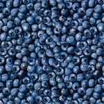 Kanvas Studio - Blueberry Hill - Packed Blueberries, Blue
