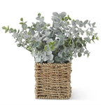 Powdered Eucalyptus in Woven Basket