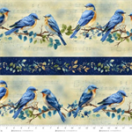 Henry Glass - Awakenings - Border Stripe, Blue