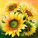 Oasis Fabrics - 60^ Sunny Day - Sunflower 60^ x 60^ Panel, Bright Yellow