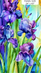 Northcott - Infatuation - 24^ Panel, Purple