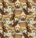 David Textiles - Foust Exclusives - Baby Golden Doodles, Multi