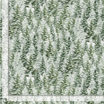 Timeless Treasures - Winter Wonderland Flannel - Snowy pine Trees, Forest