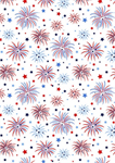 Benartex Traditions - Mid-Atlantic Shop Hop '25 - Fireworks, White