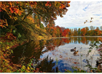 Hoffman California - On The Path to Fall - 30.5^ x 42.75^ Lake Panel, Lake