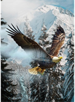 Hoffman California - Call of The Wild - 31.25^ Soaring Eagle Panel, Awakening