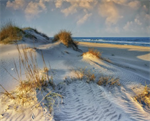 David Textiles - 36^ Exclusive Panels - The Dunes of OBX , Multi