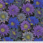 Free Spirit - Kaffe Fassett - Cactus Flower, Black