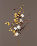 Bush - Cotton, Eucalyptus 32^