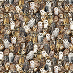 Windham Fabrics - Wild Kingdom - Observant Owls, Multi