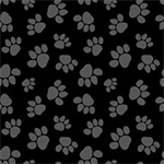 Studio E - Paw-sitively Awesome - Tossed Paws, Black