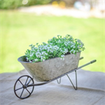 Wheelbarrow Planter - Tabletop Wheelbarrow