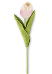 Stem - Tulip 10.5^, Pink