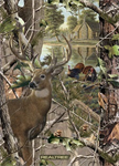 Sykel - Real Tree Fleece - 48^ x 60^ Deer & Turkey Panel, Camouflage