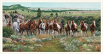 Elizabeth Studio - Wild and Free - 24^ Horse Panel, Multi