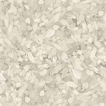 Quilting Treasures - Joyful Garden - Watercolor Texture, Gray