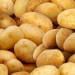 Elizabeth Studio - Food Festival - Potatoes, Gold