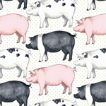 Kanvas Studio - Rise 'n Shine - Pigs & Dots, White