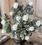 Bouquet - Aylesford Blooms 15^, Cream