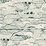 Windham Fabrics - Rocky Coast - Driftline, Ivory