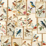 Hoffman California - Nestiing Hour - Birds, Antique Beige
