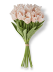 Bouquet - Tulip Light Peach Real Touch Parrot