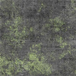 Michael Miller - Sunny Delight - Moss Texture With Metallic, Charcoal