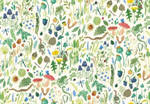 Lewis & Irene - Garden Explorer - Pocket Finds, Spring