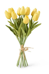 Bouquet - Tulip 13.5^, Yellow