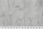 Shannon Fabrics - Luxe Cuddle - Glacier, Silver