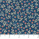 Northcott - Farmhouse Sampler - Star Blender, Navy