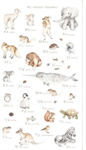 Dear Stella - ABCs of Love - 24^ Animal Alphabet Panel, White