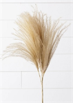 Bush - Dried Pampas Grass 40^, Cream