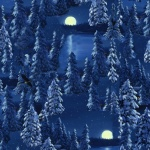 Blank Quilting - Let It Snow - Moon Scene, Blue