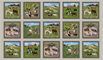 Elizabeth Studio - Farm Animals - 24^ Block Panel, Sepia