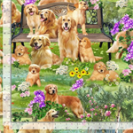 Timeless Treasures - Dogs - Golden Retreiver Park, Green