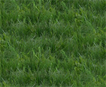 Elizabeth Studio - Landscape Medley - Grass, Green