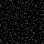 Blank Quilting - Paradox II - White Dots, Black