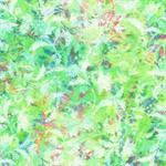 Robert Kaufman - 108^ RK Wide Collection - Leaves, Sprout