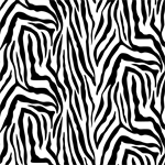 Blank Quilting - Skin Deep - Zebra, Black/White