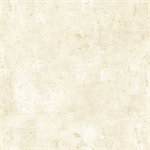 Timeless Treasures - Cleo - Golden Texture, Cream