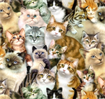 Elizabeth Studio - Petpourri - Packed Cats, Multi