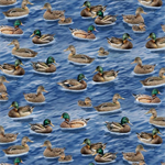 Timeless Treasures - Birds - Mallard Ducks on Water, Blue